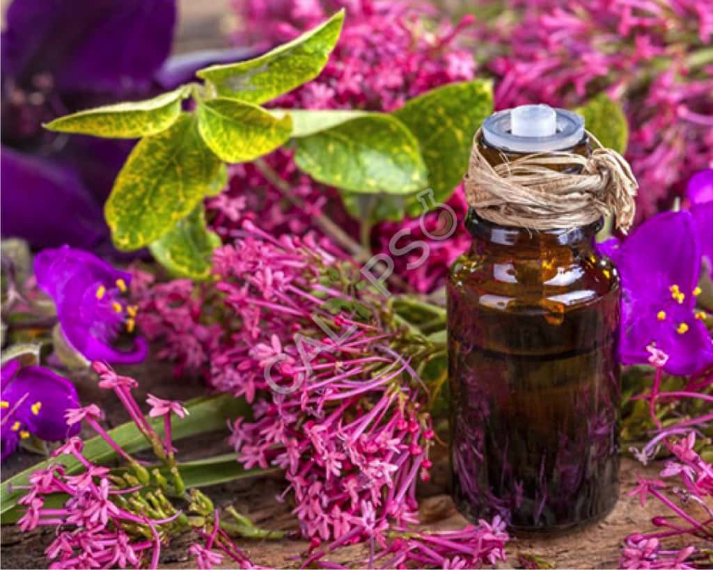 Clory Sage Natural Essential Oil